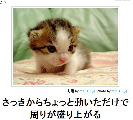 閲覧注意,ボケて,bokete,画像,まとめ152