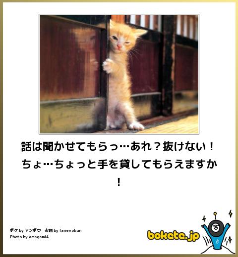 楽しくなる,おもしろ,ボケて,画像,まとめ086