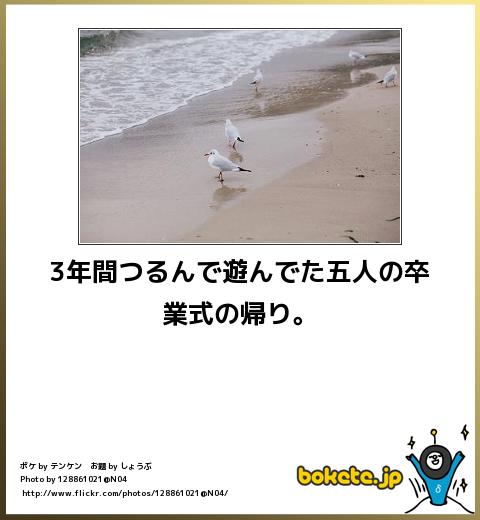 超おもしろい,bokete,画像,貼っていく1063