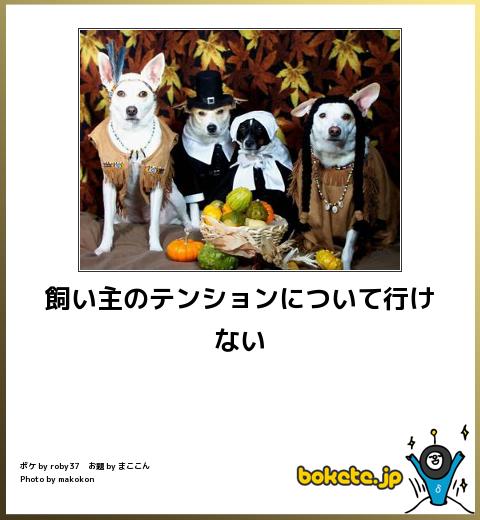 厳選,大爆笑,bokete,画像,まとめ026