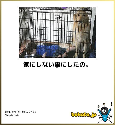 厳選,大爆笑,bokete,画像,まとめ066