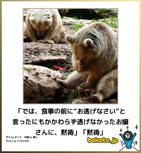 笑ったら負け,動物,bokete,おもしろ画像,まとめ351