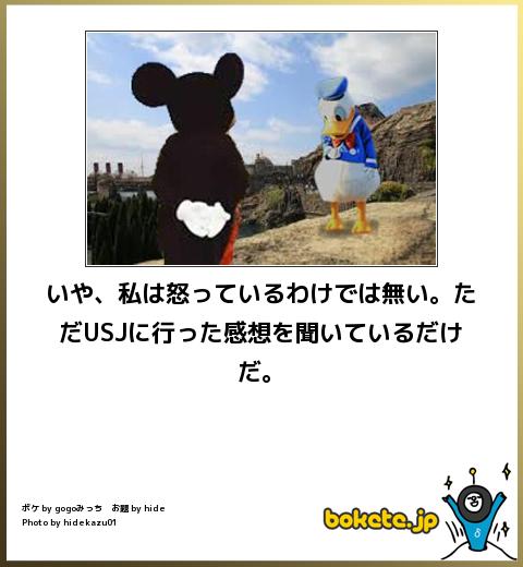 殿堂入り!人気,bokete,厳選,まとめ526