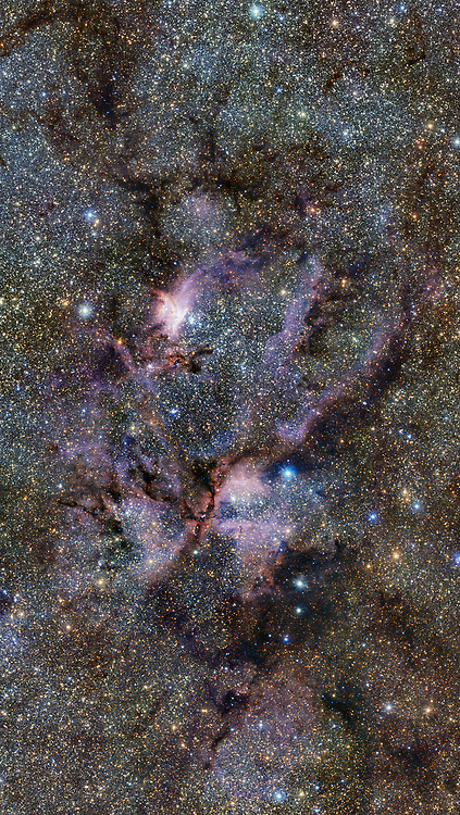 Lobster Nebula Wallpaper by TelephoneWallpaper.com