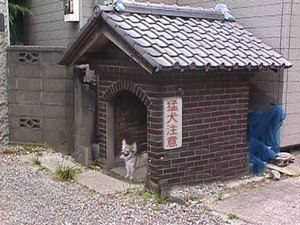 腹筋崩壊,笑い,止まらない,ネタ,画像,まとめ,おもしろ画像534