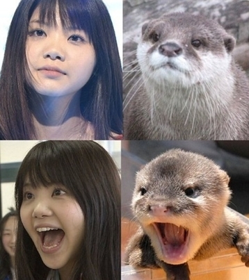 吹いたら負け,絶対に笑う,おもしろ画像,まとめ331