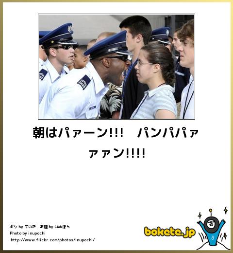 爆笑,腹痛い,bokete,画像,まとめ10003