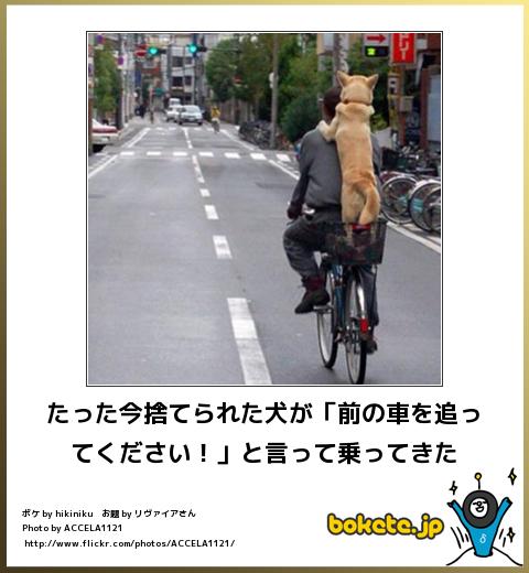 爆笑,腹痛い,bokete,画像,まとめ10215