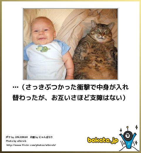 爆笑,腹痛い,bokete,画像,まとめ10255