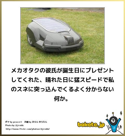 爆笑,腹痛い,bokete,画像,まとめ12401