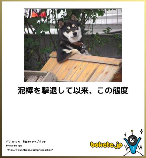 爆笑,腹痛い,bokete,画像,まとめ12492