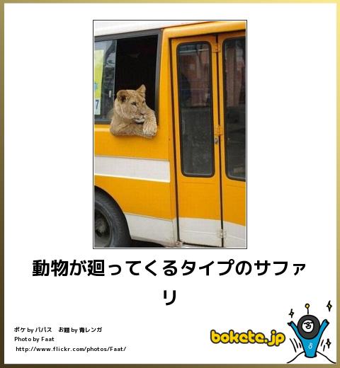 爆笑,腹痛い,bokete,画像,まとめ1695