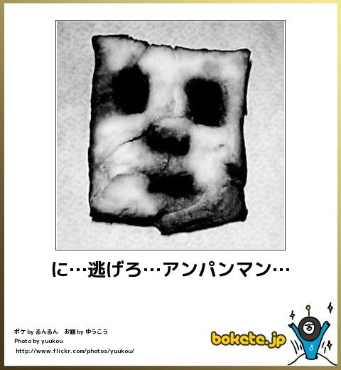 爆笑,腹痛い,bokete,画像,まとめ2117