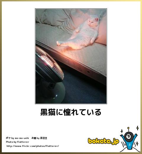爆笑,腹痛い,bokete,画像,まとめ2291
