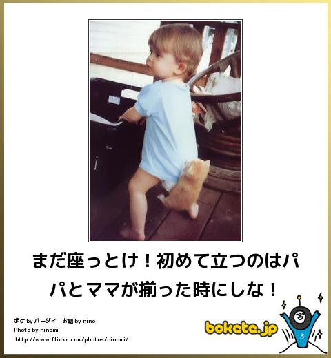 爆笑,腹痛い,bokete,画像,まとめ2410