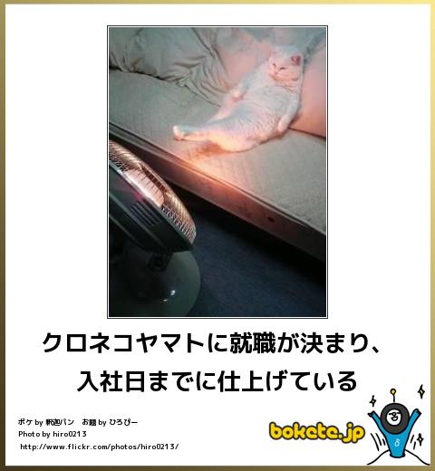 爆笑,腹痛い,bokete,画像,まとめ4399