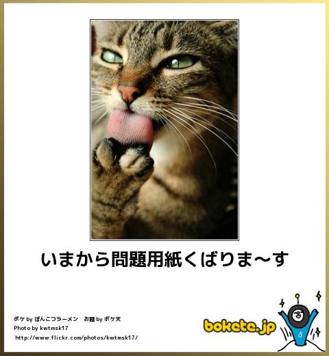 爆笑,腹痛い,bokete,画像,まとめ4821