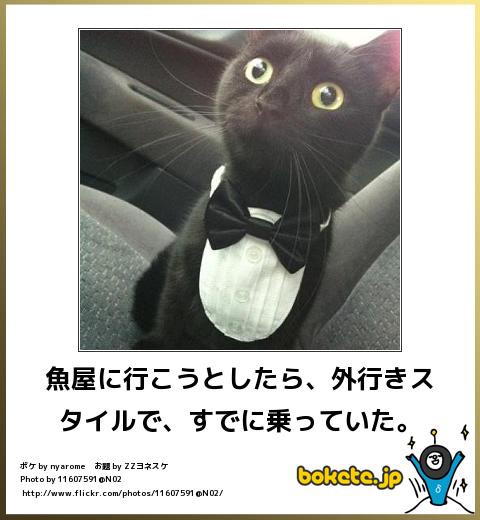爆笑,腹痛い,bokete,画像,まとめ5028