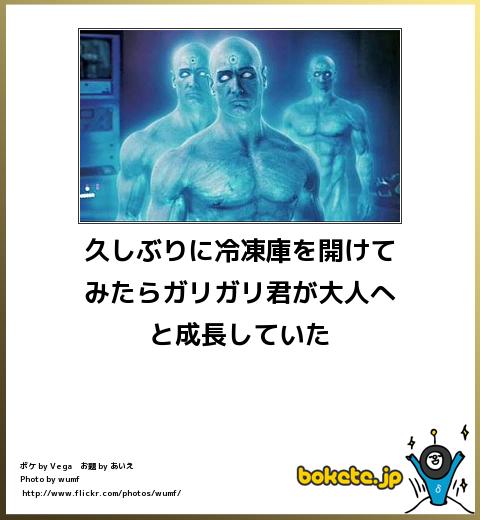 爆笑,腹痛い,bokete,画像,まとめ5145