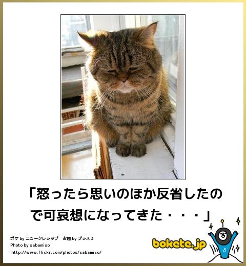 爆笑,腹痛い,bokete,画像,まとめ5363