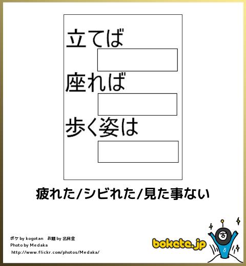 爆笑,腹痛い,bokete,画像,まとめ6673