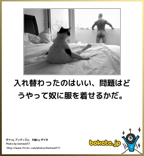 爆笑,腹痛い,bokete,画像,まとめ7381