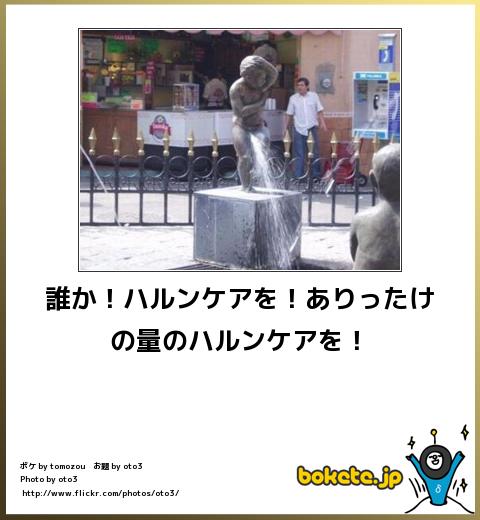 爆笑,腹痛い,bokete,画像,まとめ8343