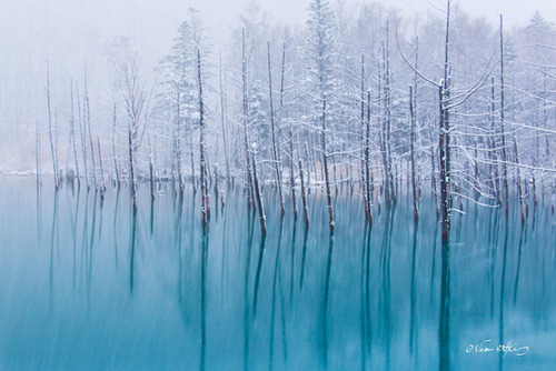 絶景,思わず見とれてしまう,冬,雪景色,画像,まとめ004
