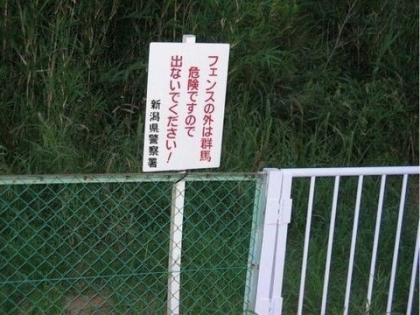 吹いたら負け,絶対に笑う,おもしろ画像,まとめ109