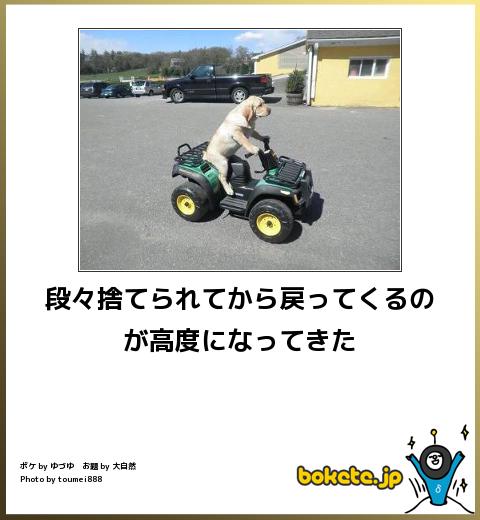 爆笑,腹痛い,bokete,画像155