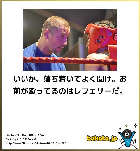 爆笑,腹痛い,bokete,画像2591
