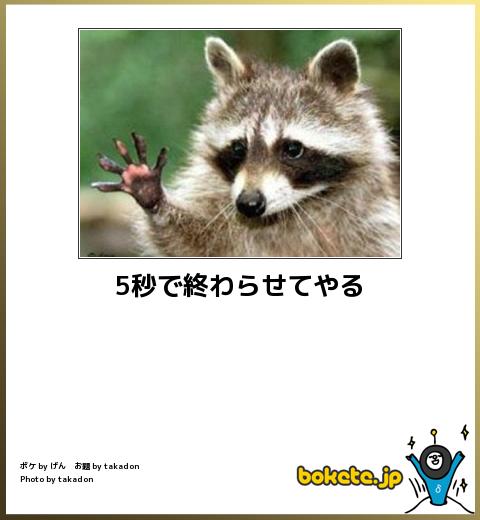 爆笑,腹痛い,bokete,画像980