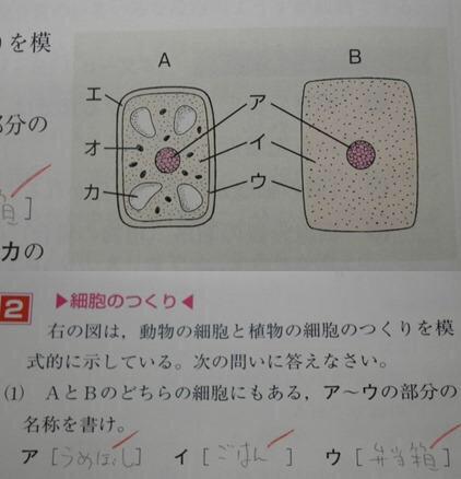 どうしてそうなった,テスト,珍回答,画像,まとめ044