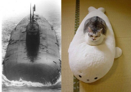 絶対に吹く,動物,おもしろ,コラ画像,まとめ001