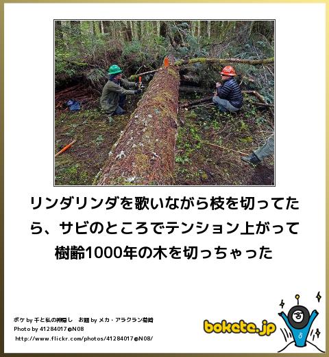 爆笑注意,おもしろ,bokete,ボケて,画像,まとめ1572