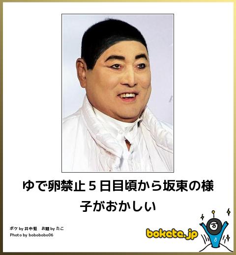 爆笑,腹痛い,bokete,画像,まとめ1680