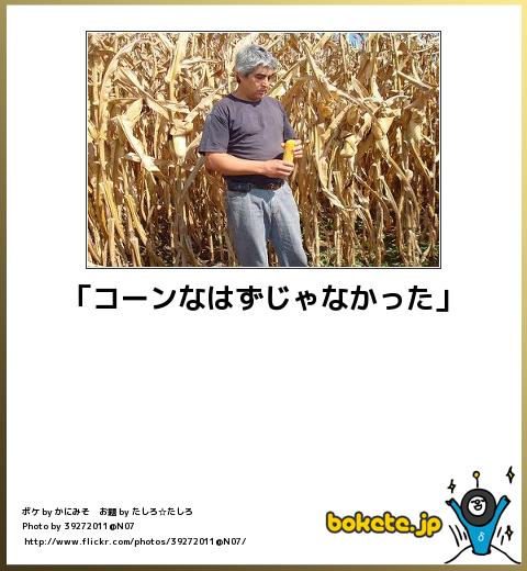 爆笑,腹痛い,bokete,画像,まとめ2092