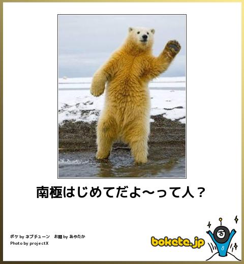 爆笑,腹痛い,bokete,画像,まとめ3310