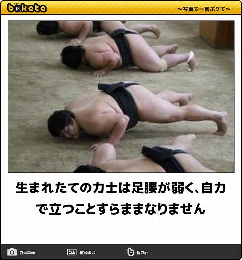 爆笑,腹痛い,bokete,画像,まとめ005