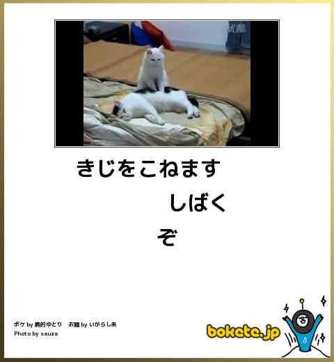 爆笑,腹痛い,bokete,画像,まとめ10049