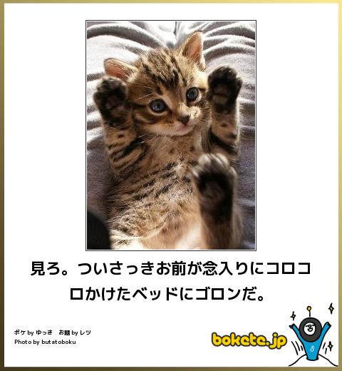 爆笑,おもしろ,bokete,ボケて,画像5268