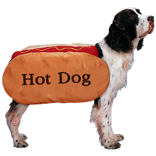 これはすごい,ホットドック,犬,面白画像,まとめ024