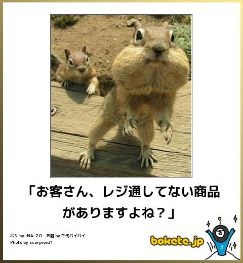 爆笑,腹痛い,bokete,面白,ボケて,画像,まとめ3981