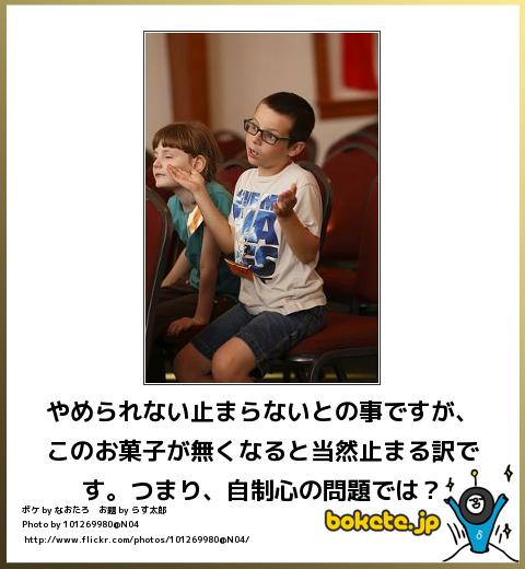 爆笑,腹痛い,bokete,面白,ボケて,画像,まとめ647