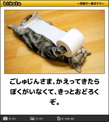 爆笑,おもしろ,bokete,ボケて,画像,まとめ11312