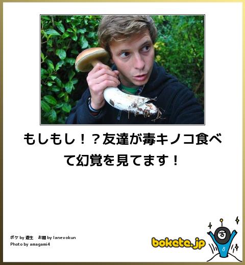 爆笑,腹痛い,bokete,画像,まとめ1140