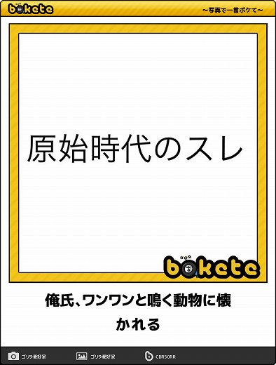 爆笑,腹痛い,bokete,画像,まとめ1143