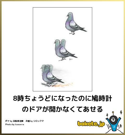 爆笑,おもしろ,bokete,ボケて,画像,まとめ1467