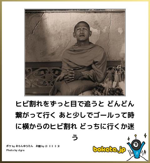 bokete, おもしろ, まとめ, ボケて, 爆笑, 画像2488
