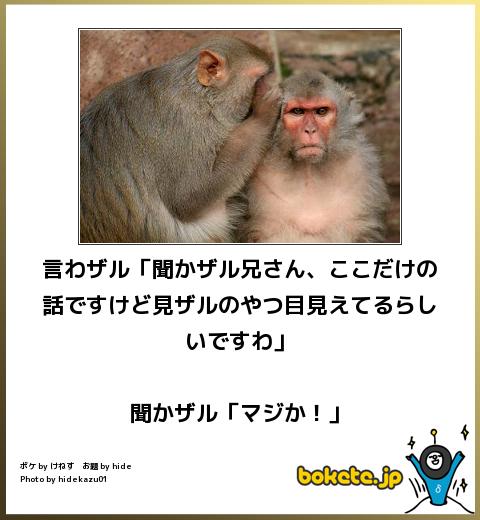 爆笑,腹痛い,bokete,画像,まとめ401